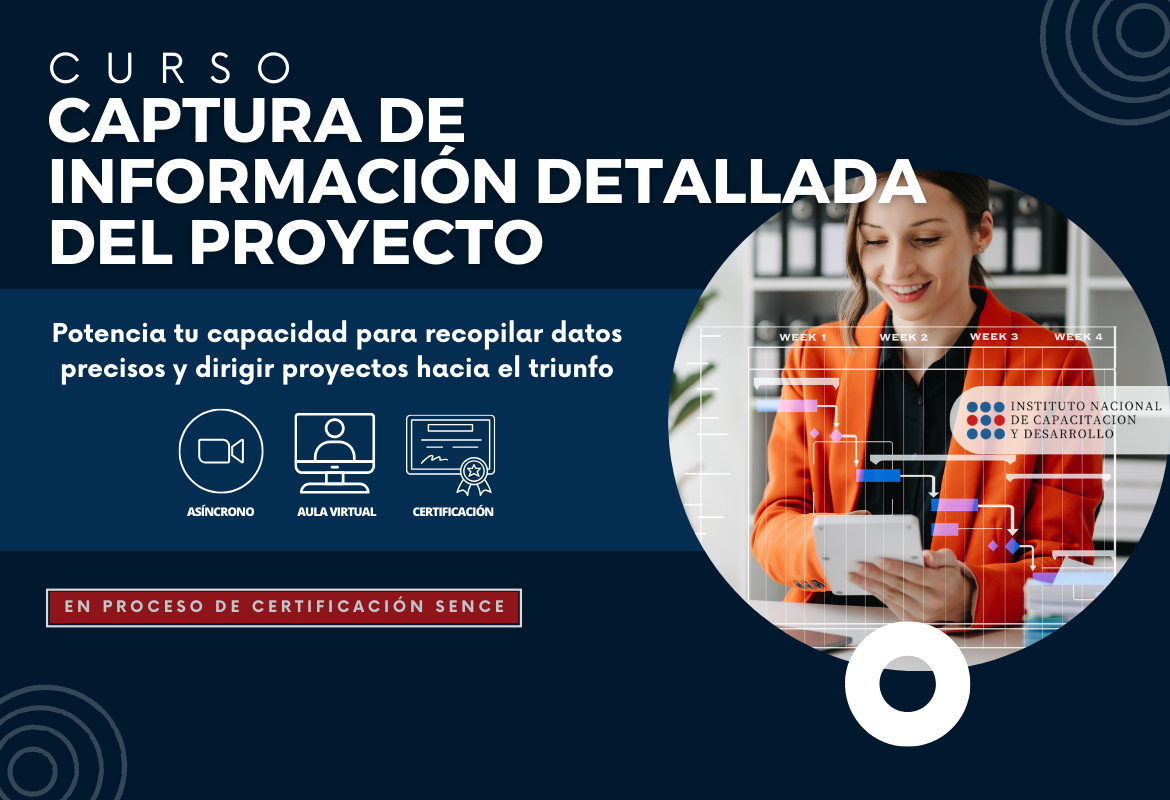 Curso de Captura de Información detallada del proyecto