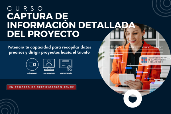 Curso de Captura de Información detallada del proyecto